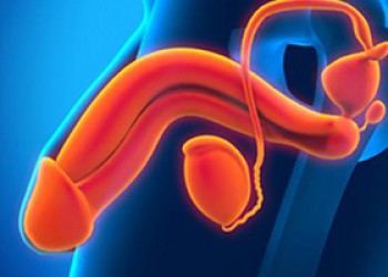 Ανδρολογία