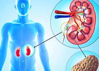 Ενδοουρολογία