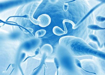 Υπογονιμότητα